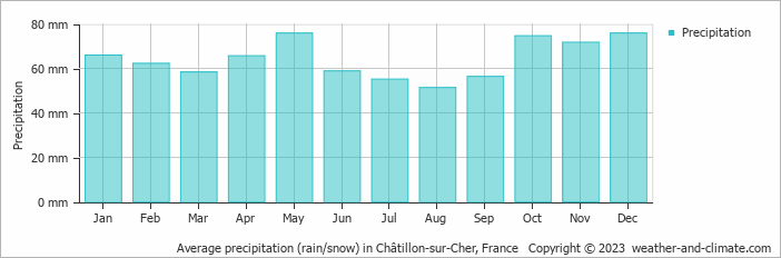 Average monthly rainfall, snow, precipitation in Châtillon-sur-Cher, 