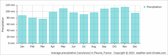 Average monthly rainfall, snow, precipitation in Fleurie, France