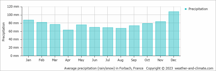 Average monthly rainfall, snow, precipitation in Forbach, France