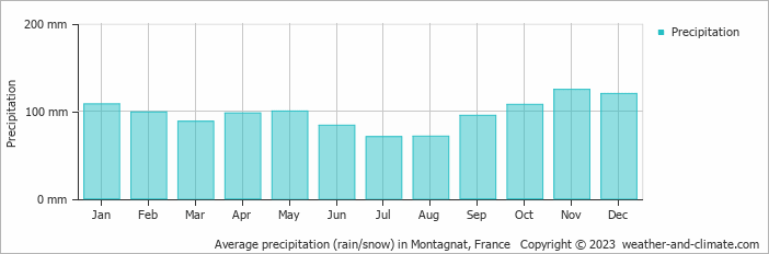 Average monthly rainfall, snow, precipitation in Montagnat, France
