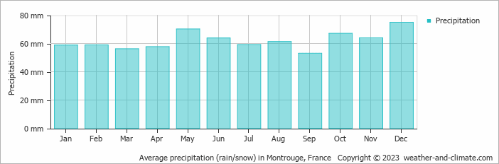 Average monthly rainfall, snow, precipitation in Montrouge, France