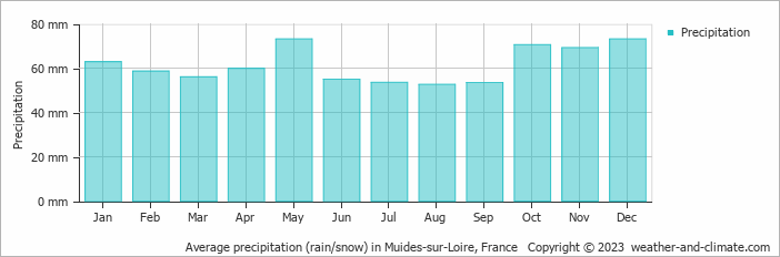 Average monthly rainfall, snow, precipitation in Muides-sur-Loire, France