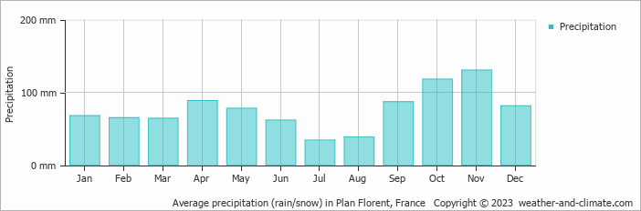 Average monthly rainfall, snow, precipitation in Plan Florent, France
