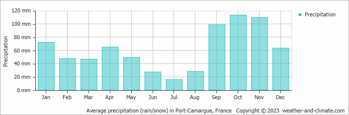 Average monthly rainfall, snow, precipitation in Port-Camargue, France