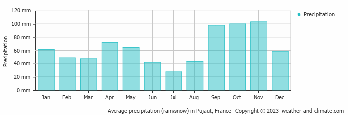Average monthly rainfall, snow, precipitation in Pujaut, France