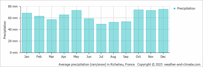 Average monthly rainfall, snow, precipitation in Richelieu, France