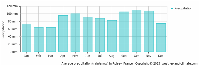 Average monthly rainfall, snow, precipitation in Roisey, France