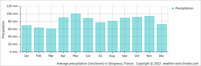 Average monthly rainfall, snow, precipitation in Savigneux, France