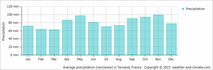 Average monthly rainfall, snow, precipitation in Ternand, France