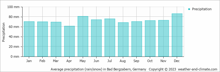 Average monthly rainfall, snow, precipitation in Bad Bergzabern, Germany