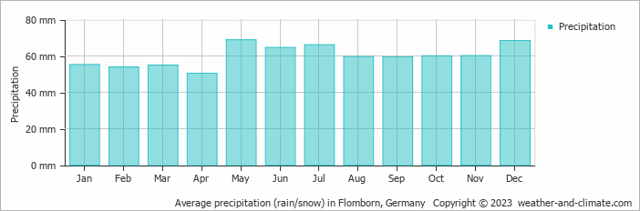 Average monthly rainfall, snow, precipitation in Flomborn, 