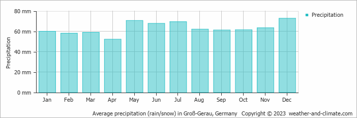 Average monthly rainfall, snow, precipitation in Groß-Gerau, 