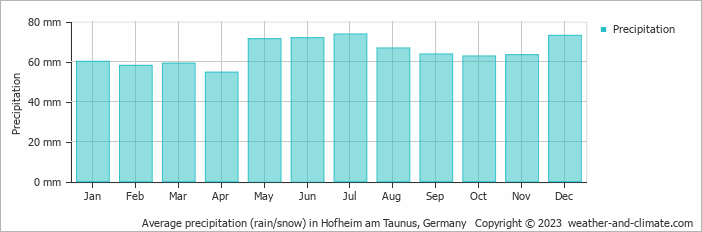 Average monthly rainfall, snow, precipitation in Hofheim am Taunus, Germany