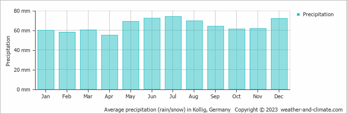 Average monthly rainfall, snow, precipitation in Kollig, Germany