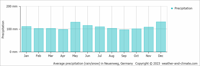 Average monthly rainfall, snow, precipitation in Neuenweg, 