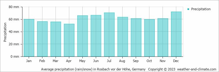 Average monthly rainfall, snow, precipitation in Rosbach vor der Höhe, 