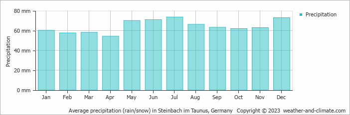 Average monthly rainfall, snow, precipitation in Steinbach im Taunus, Germany