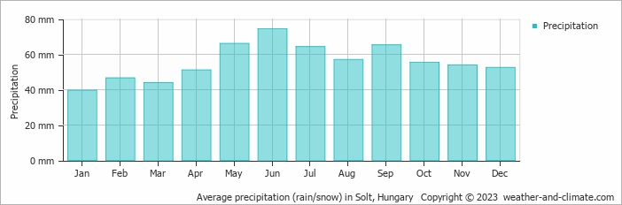 Average monthly rainfall, snow, precipitation in Solt, Hungary