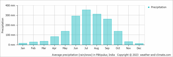Average monthly rainfall, snow, precipitation in Pātipukur, 