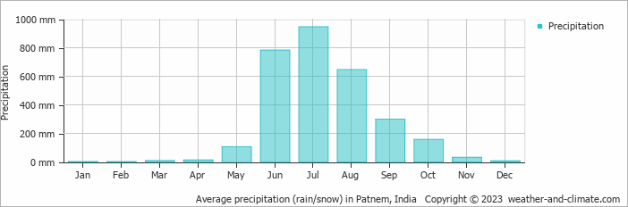 Average monthly rainfall, snow, precipitation in Patnem, India