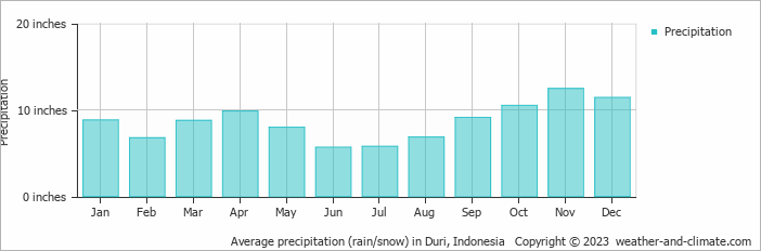 Average precipitation (rain/snow) in Pekanbaru, Indonesia   Copyright © 2022  weather-and-climate.com  