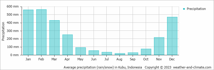 Average monthly rainfall, snow, precipitation in Kubu, 