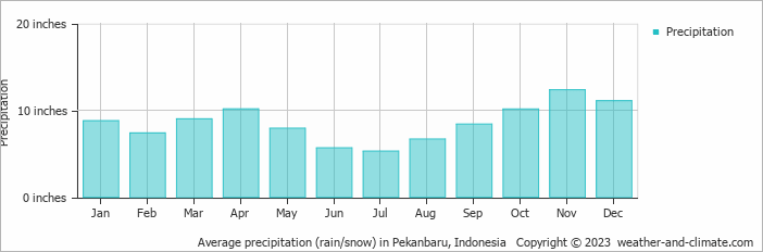 Average precipitation (rain/snow) in Pekanbaru, Indonesia   Copyright © 2022  weather-and-climate.com  