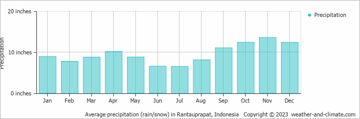 Average precipitation (rain/snow) in Rantauprapat, Indonesia   Copyright © 2023  weather-and-climate.com  