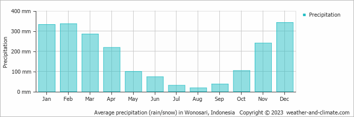 Average monthly rainfall, snow, precipitation in Wonosari, 