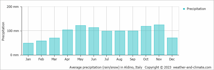 Average monthly rainfall, snow, precipitation in Aldino, Italy