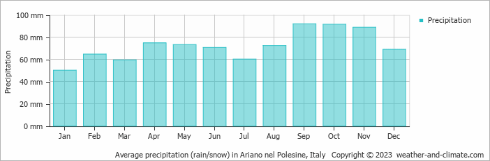 Average monthly rainfall, snow, precipitation in Ariano nel Polesine, Italy