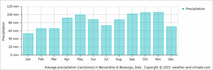 Average monthly rainfall, snow, precipitation in Bernardine di Bonavigo, 