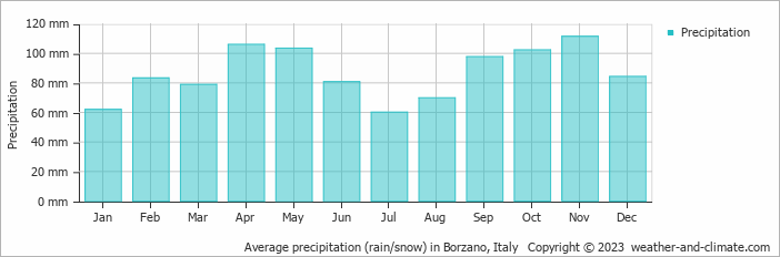 Average monthly rainfall, snow, precipitation in Borzano, Italy
