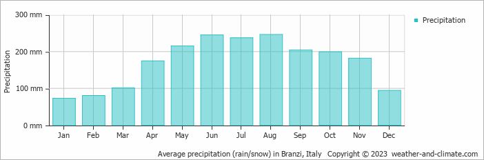 Average monthly rainfall, snow, precipitation in Branzi, Italy