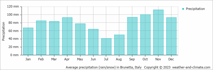 Average monthly rainfall, snow, precipitation in Brunetta, Italy