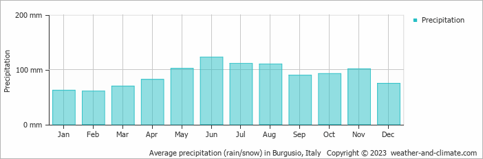 Average monthly rainfall, snow, precipitation in Burgusio, Italy
