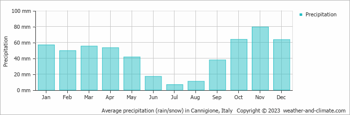 Average monthly rainfall, snow, precipitation in Cannigione, 