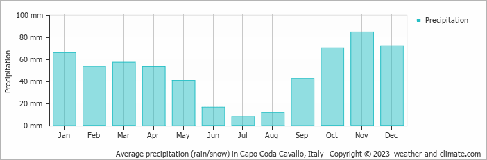 Average monthly rainfall, snow, precipitation in Capo Coda Cavallo, Italy