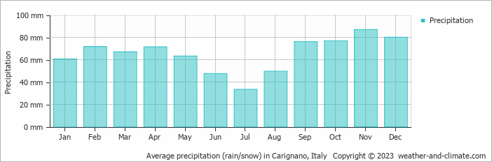 Average monthly rainfall, snow, precipitation in Carignano, Italy