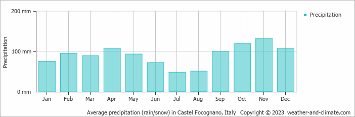 Average monthly rainfall, snow, precipitation in Castel Focognano, Italy