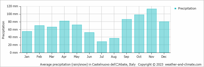 Average monthly rainfall, snow, precipitation in Castelnuovo dellʼAbate, 