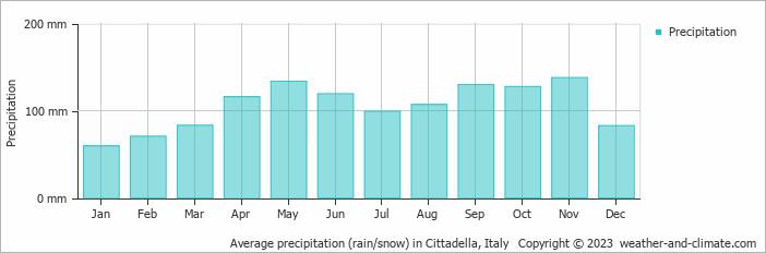 Average monthly rainfall, snow, precipitation in Cittadella, Italy
