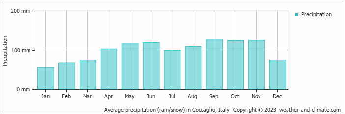 Average monthly rainfall, snow, precipitation in Coccaglio, Italy