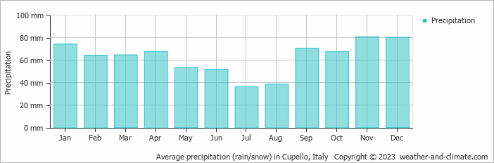 Average monthly rainfall, snow, precipitation in Cupello, Italy