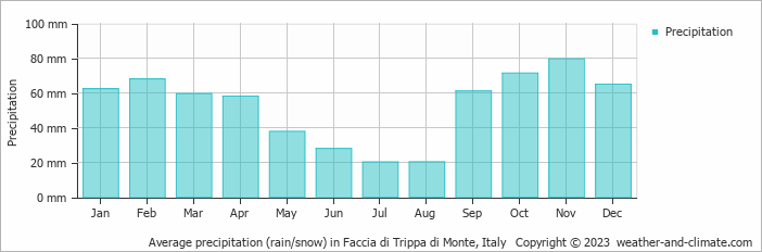 Average monthly rainfall, snow, precipitation in Faccia di Trippa di Monte, Italy