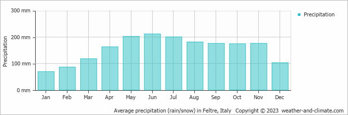 Average monthly rainfall, snow, precipitation in Feltre, Italy