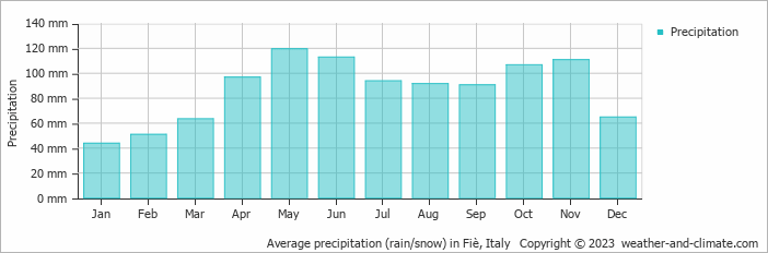 Average monthly rainfall, snow, precipitation in Fiè, Italy