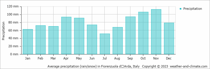 Average monthly rainfall, snow, precipitation in Fiorenzuola dʼArda, Italy