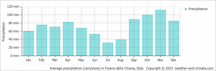 Average monthly rainfall, snow, precipitation in Foiano della Chiana, Italy