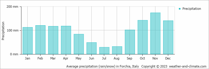 Average monthly rainfall, snow, precipitation in Forchia, Italy